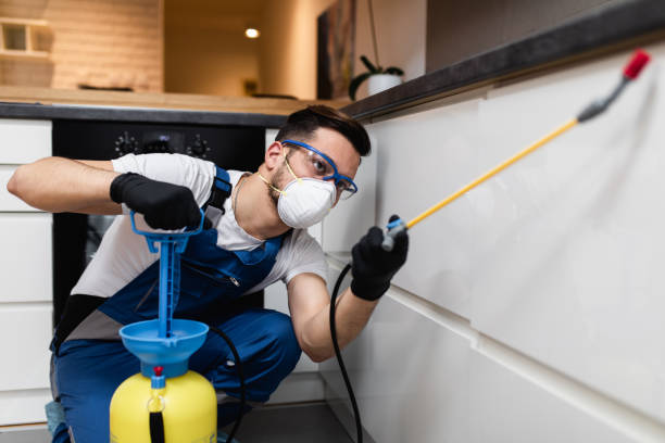 Best Emergency Pest Control  in Ridgeland, SC