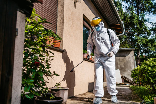 Best Mosquito Control Services  in Ridgeland, SC