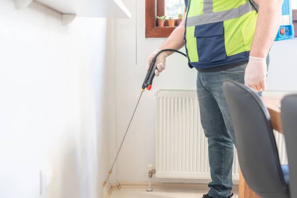 Best Cockroach Control Services  in Ridgeland, SC