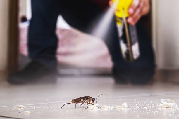 Best Residential Pest Control  in Ridgeland, SC