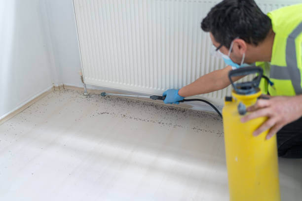 Best Pest Inspection Near Me  in Ridgeland, SC